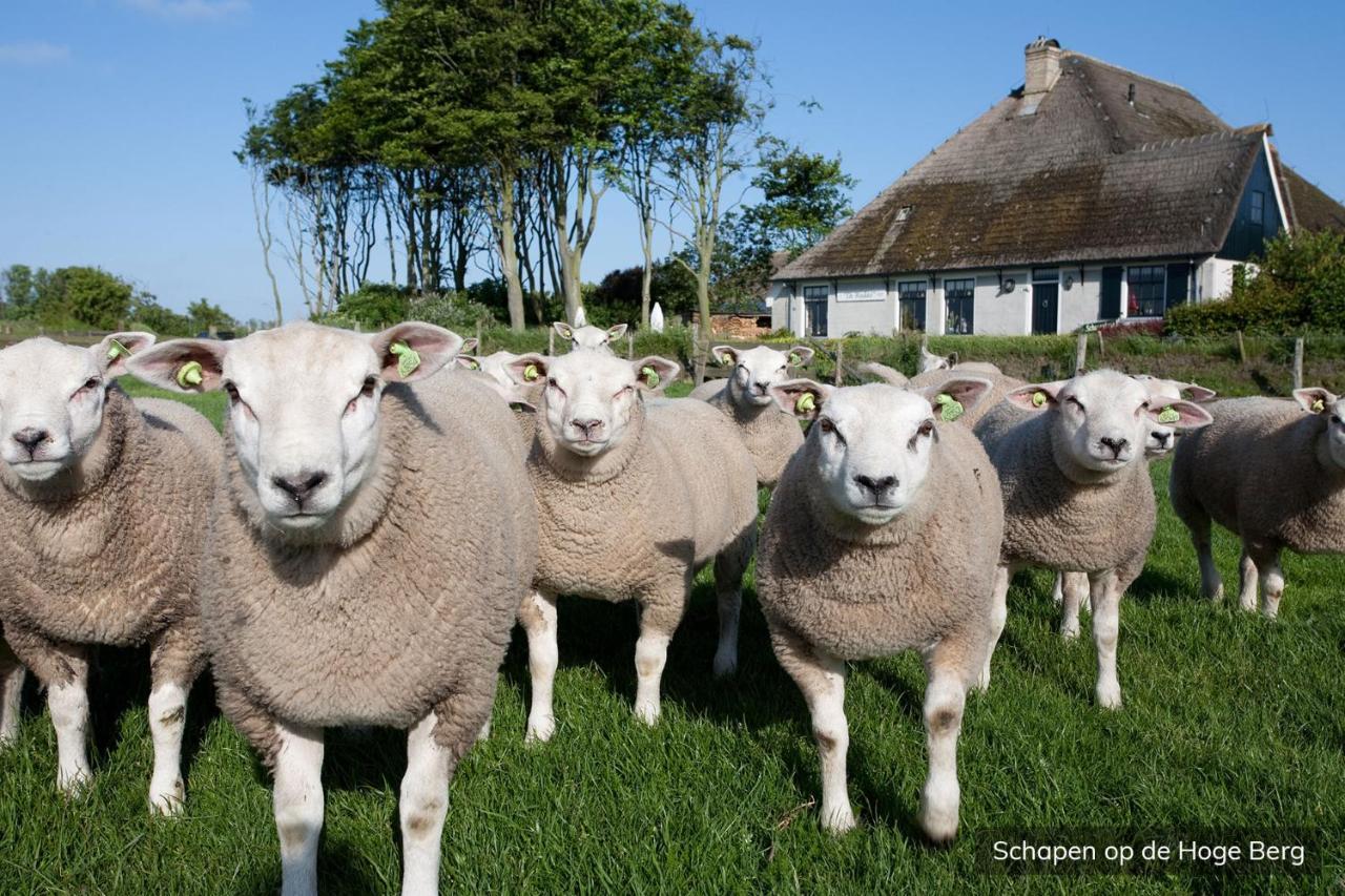 Vakantiepark De Krim Texel De Cocksdorp  Esterno foto
